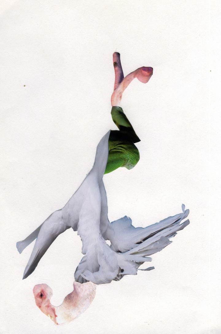Collage, 14cm x 21cm, Zeitschriftenausschnitte auf Papier, 2012