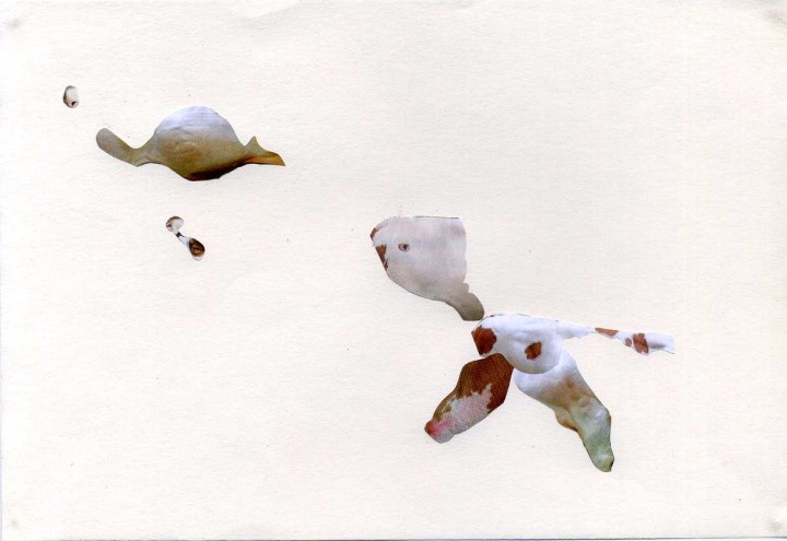 Collage, 14cm x 21cm, Zeitschriftenausschnitte auf Papier, 2012