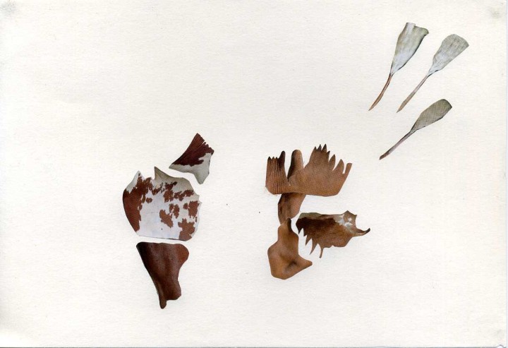 Collage, 14cm x 21cm, Zeitschriftenausschnitte auf Papier, 2012