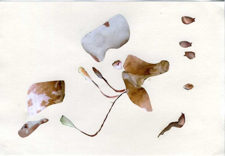 Collage, 14cm x 21cm, Zeitschriftenausschnitte auf Papier, 2012