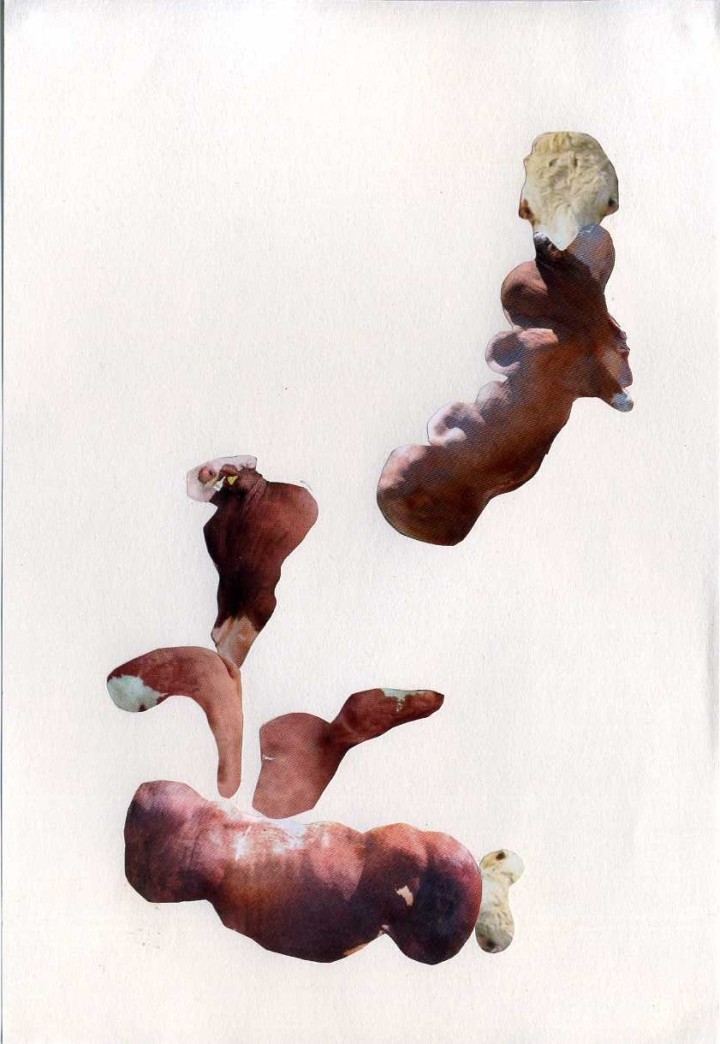 Collage, 14cm x 21cm, Zeitschriftenausschnitte auf Papier, 2012