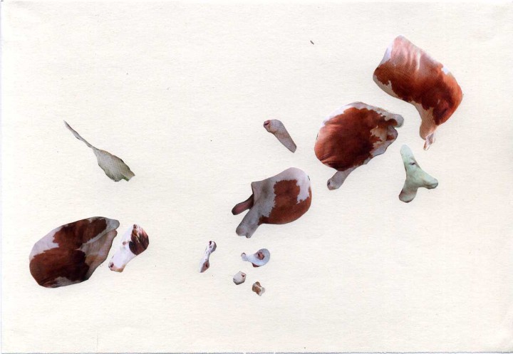 Collage, 14cm x 21cm, Zeitschriftenausschnitte auf Papier, 2012