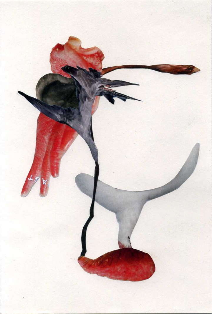 Collage, 14cm x 21cm, Zeitschriftenausschnitte auf Papier, 2013